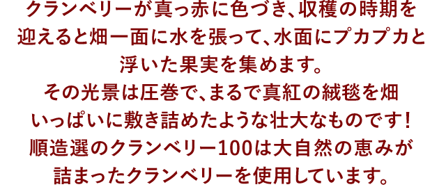 クランベリーが真っ赤に色づき、収穫の時期を迎えると畑一面に水を張って、水面にプカプカと浮いた果実を集めます。その光景は圧巻で、まるで真紅の絨毯を畑いっぱいに敷き詰めたような壮大なものです！詰まったクランベリーを使用しています。